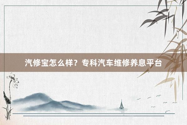 汽修宝怎么样？专科汽车维修养息平台